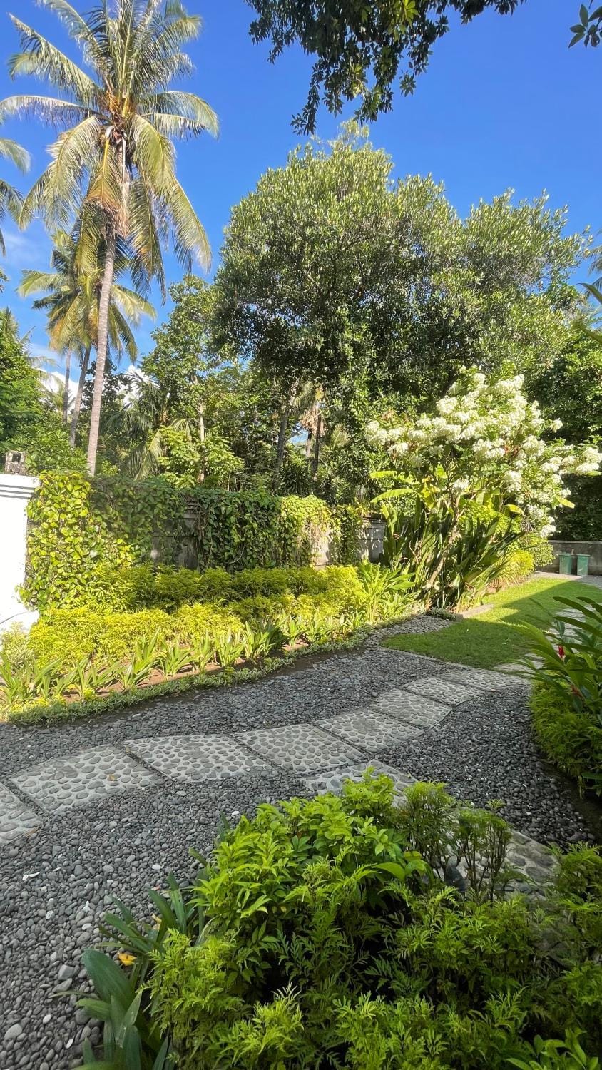 Natural landscape, Garden, Garden view