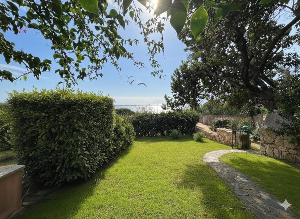 Spring, Day, Natural landscape, Garden, Garden view