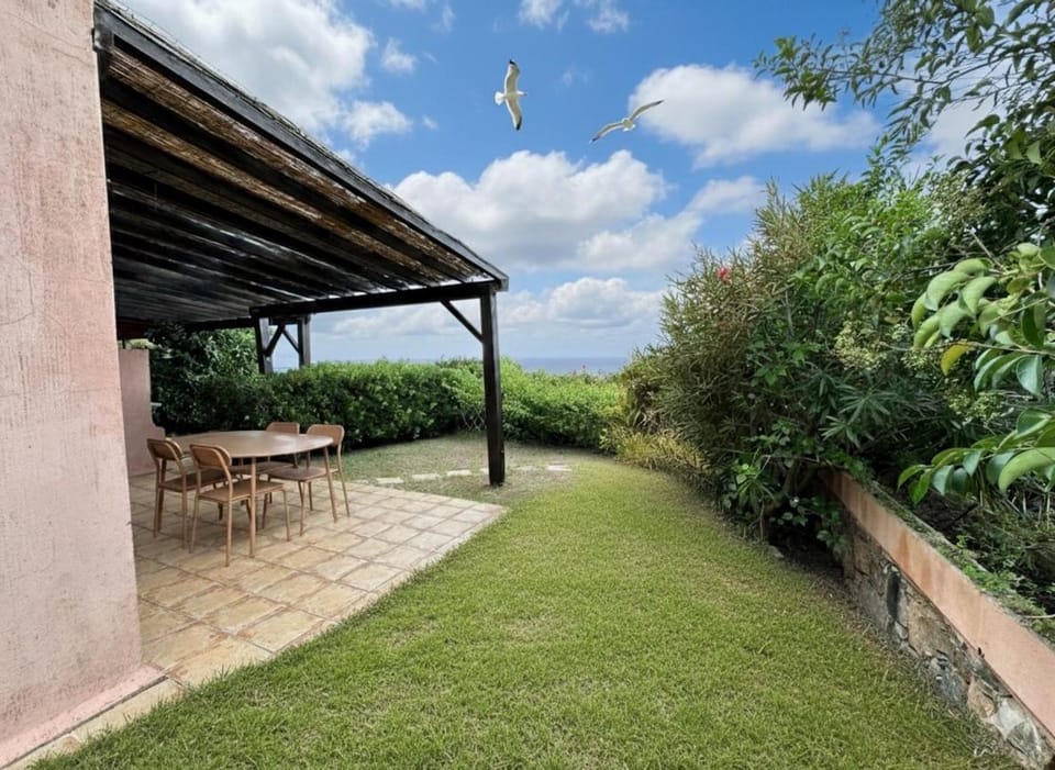 Patio, Spring, Day, Garden, Garden view