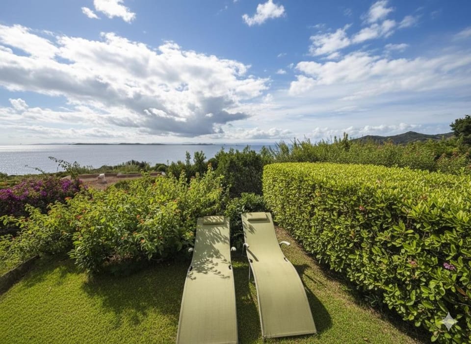 Spring, Day, Natural landscape, Garden, Garden view, Sea view