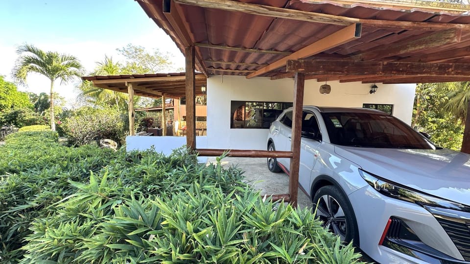 Garden, Parking