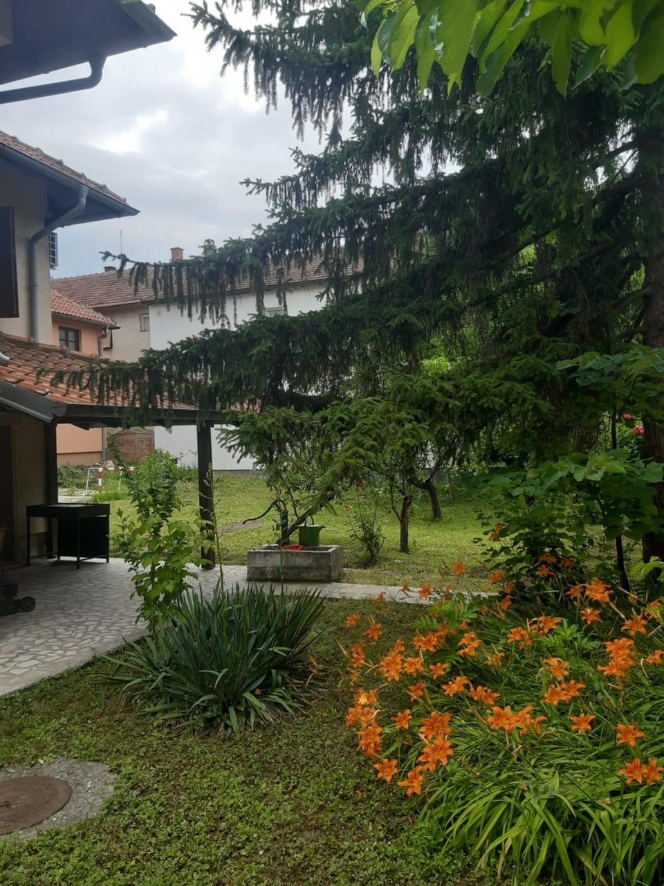 Kuca za odmor Cveta Despotovac House in Serbia