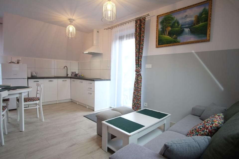 Kitchen or kitchenette, Living room, Seating area, stove