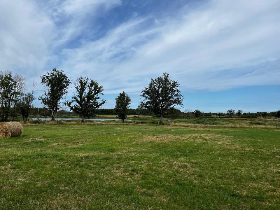 Gîte au cœur du Parc de la Brenne avec jardin, terrasse et parking - FR-1-591-317 House in Centre-Val de Loire