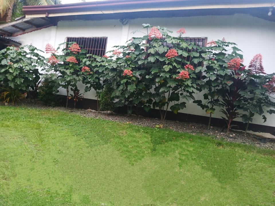 Pinoykano home Bed and Breakfast in Central Visayas