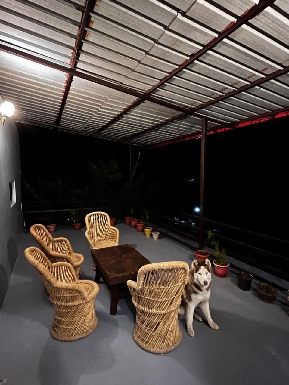 Balcony/Terrace