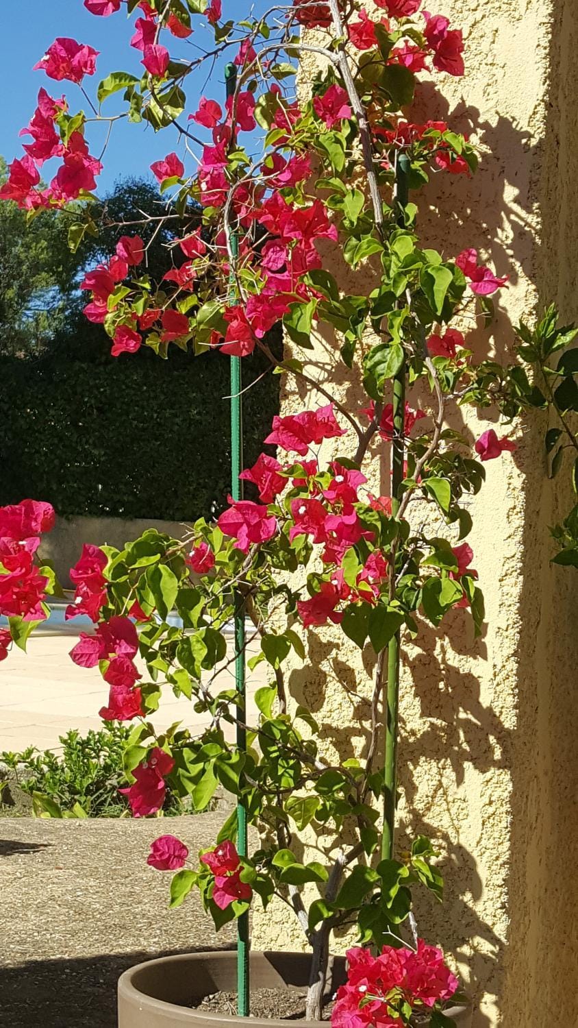 La demeure d'Hélice Bed and Breakfast in Nimes