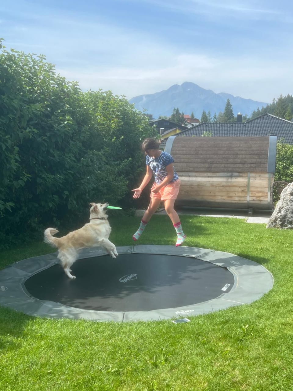 Garden, Animals