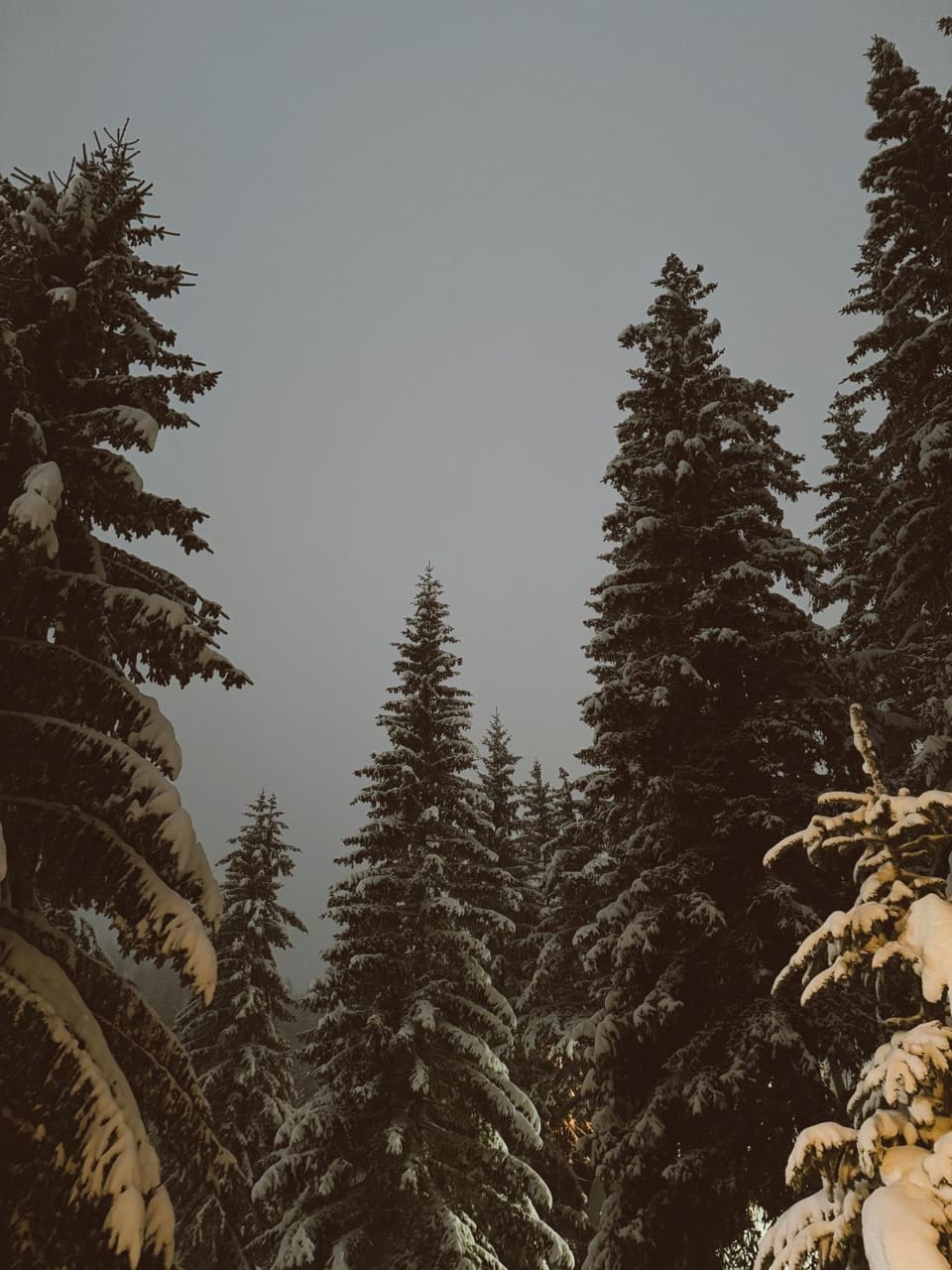 Natural landscape, Winter