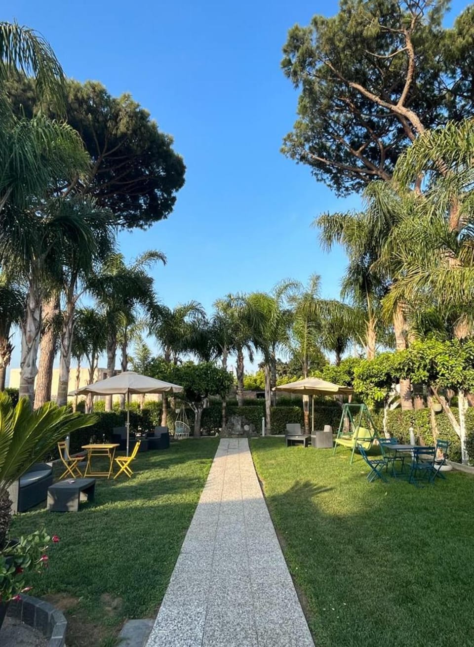 Garden