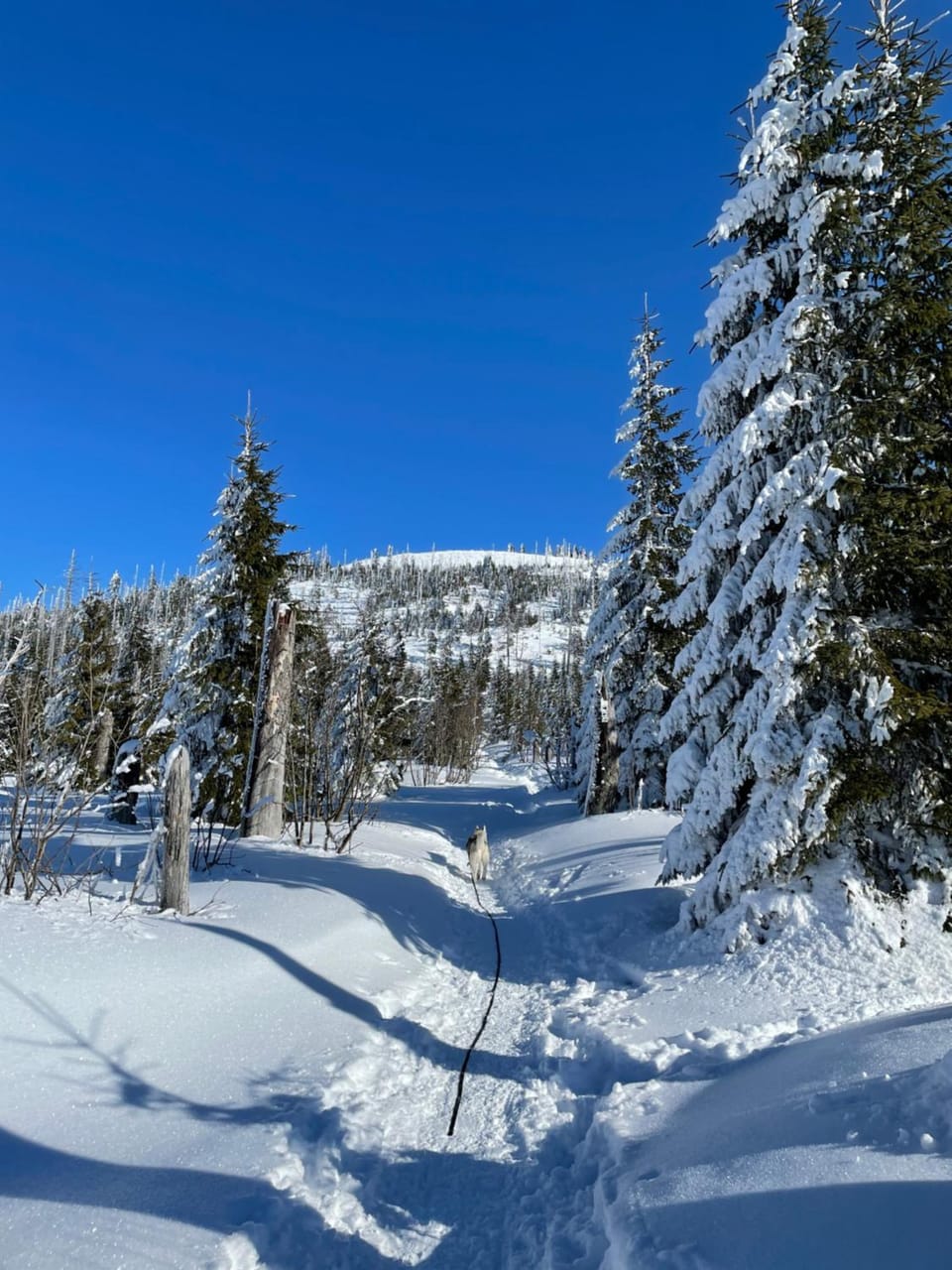 Natural landscape, Winter, Mountain view