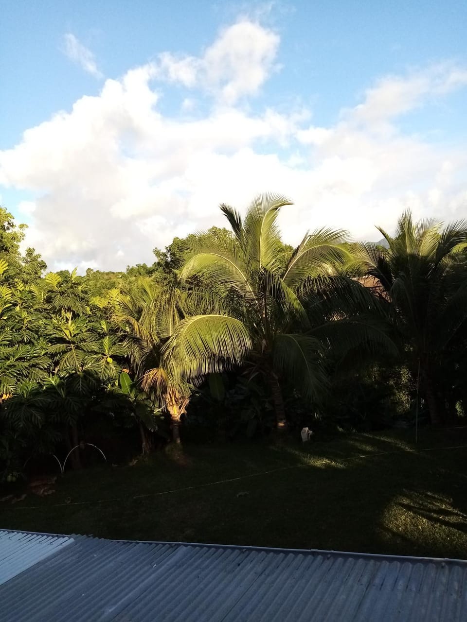 logement aux saveurs des mangues juli House in Leeward Islands