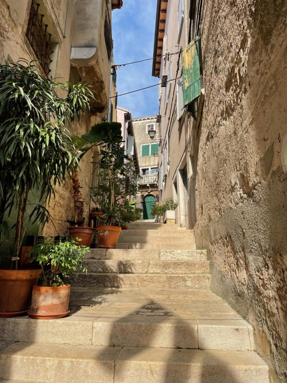 Neighbourhood, Street view