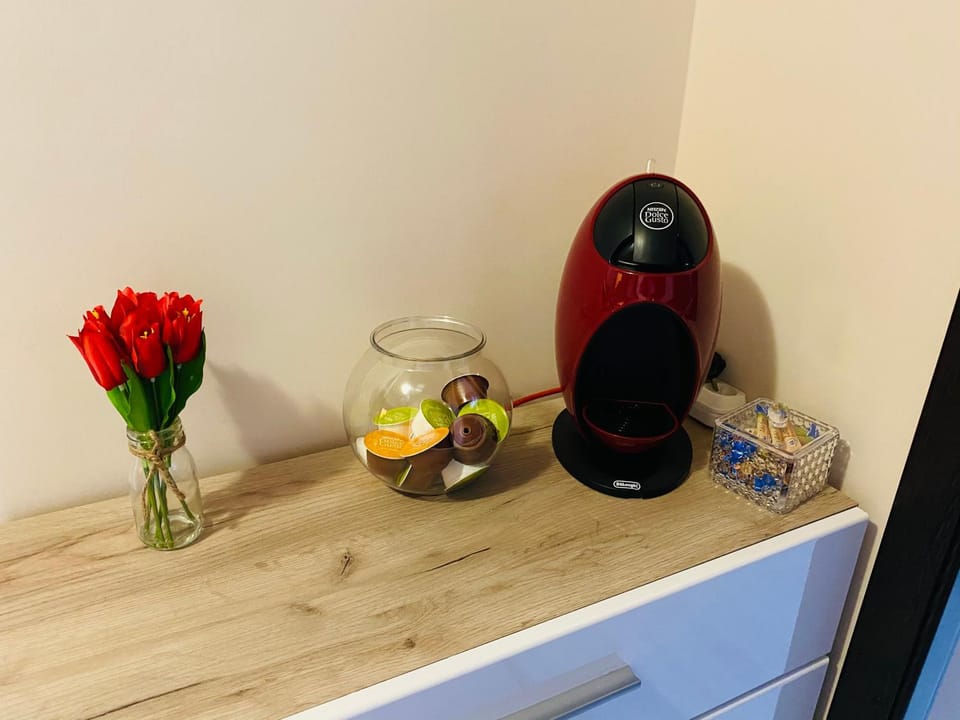 SELLADA APARTAMENT - Free Private Parking,AC,Wi-Fi Apartment in Romania
