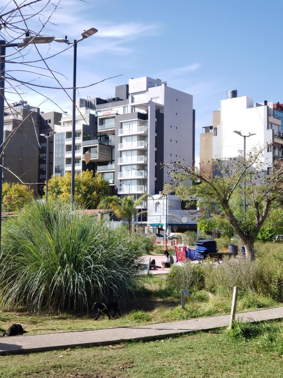 Neighbourhood, City view