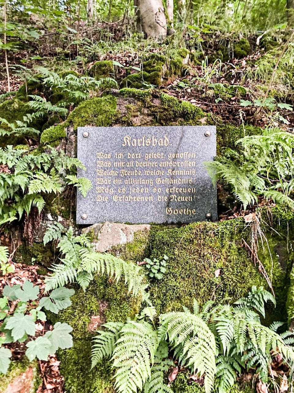 Nearby landmark