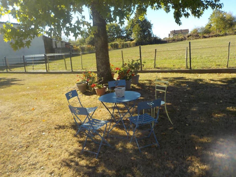 Garden view