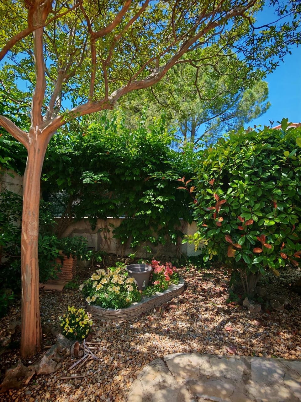 Garden view