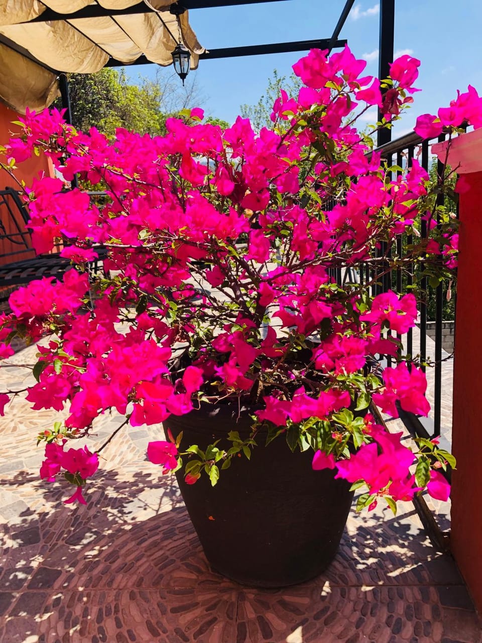 Spring