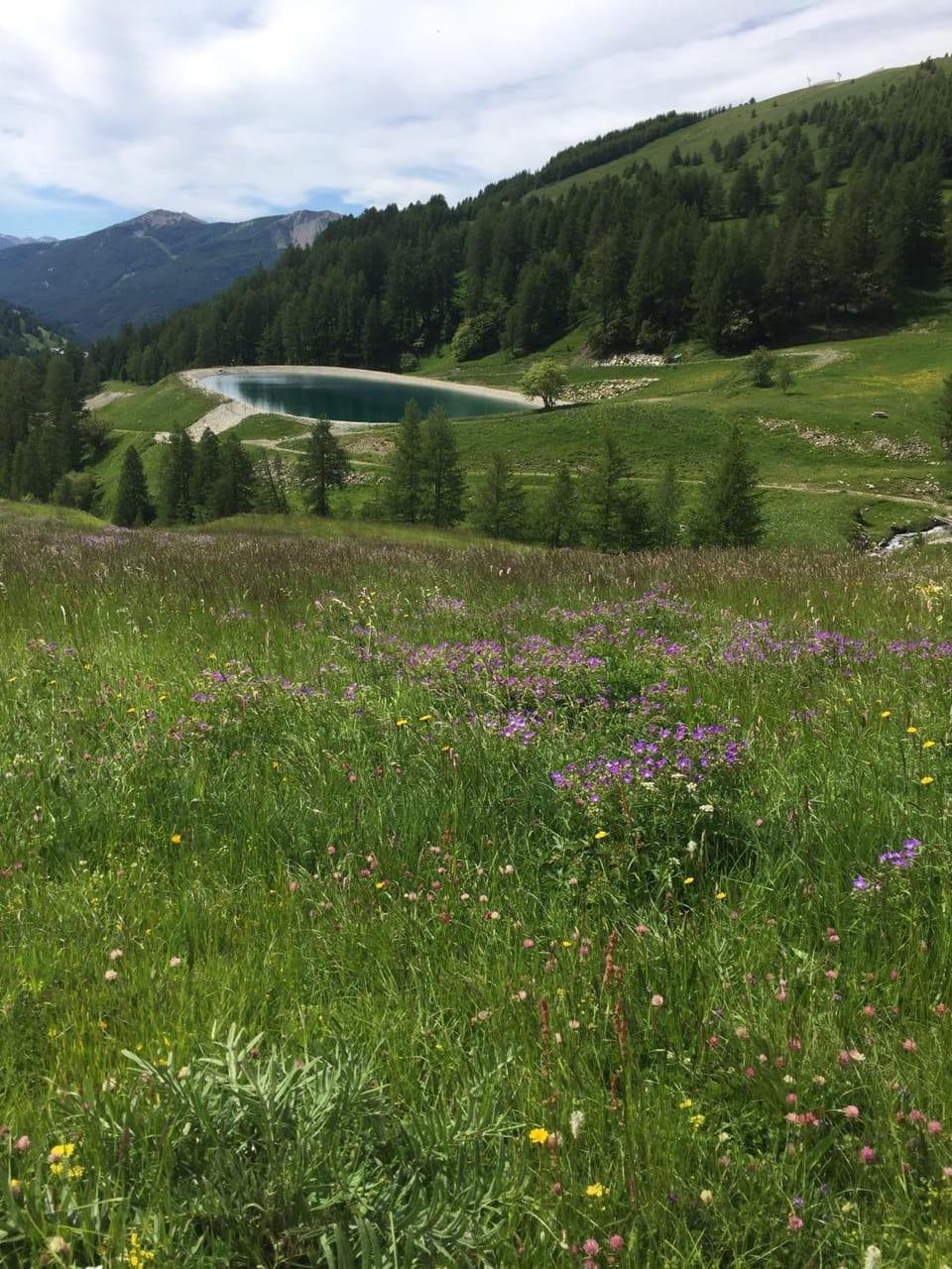 Studio montagne Apartment in Allos