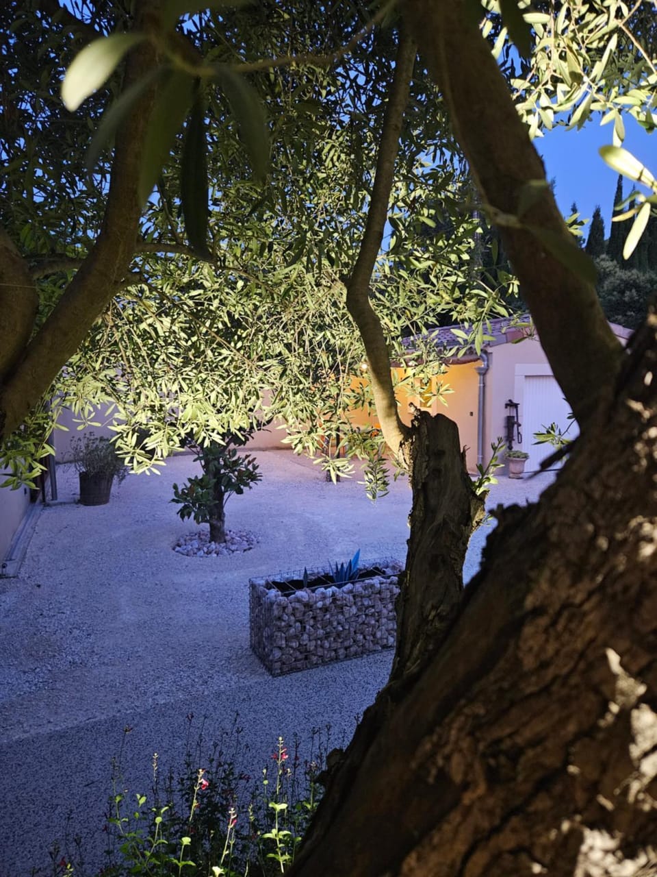 Garden view