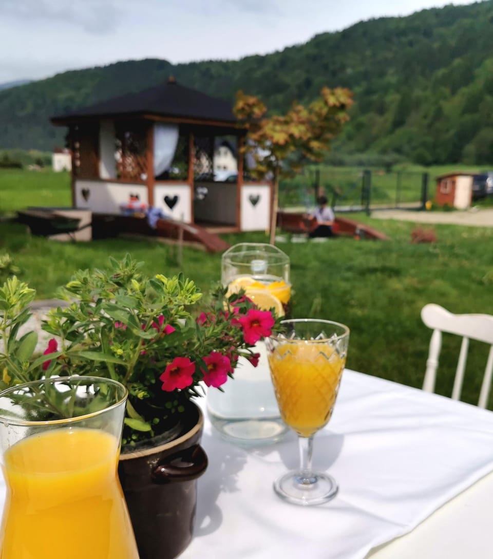 Gazdówka - najlepsza miejscówka domek w Pieninach Chalet in Lesser Poland Voivodeship