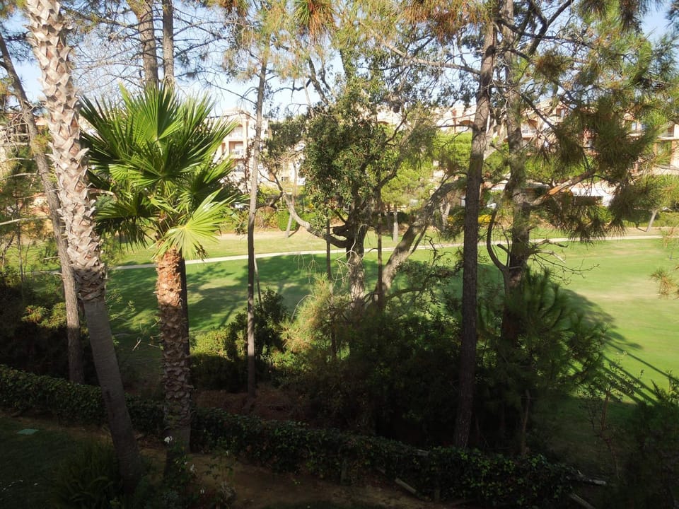 Garden, Garden view