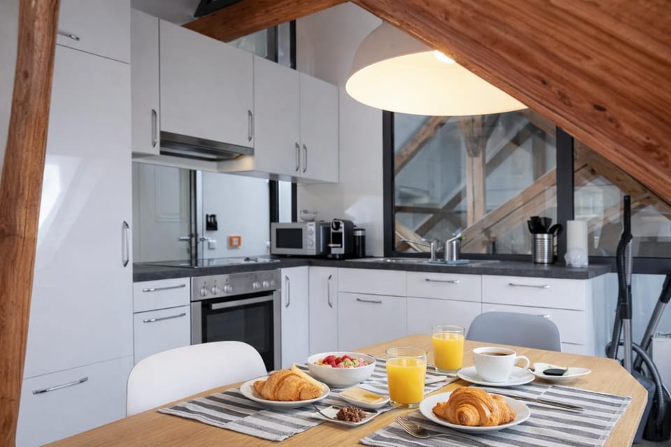 Das Zollhaus Penthouse Da Vinci nahe Schweiz in Klettgau Apartment in Schaffhausen, Switzerland