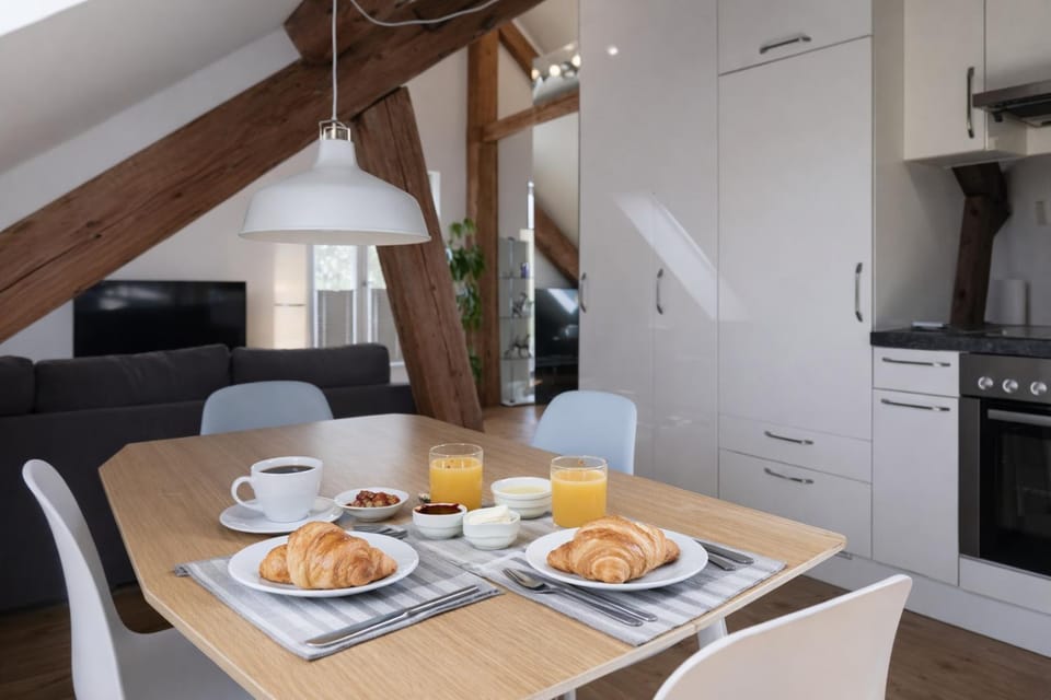 Das Zollhaus Penthouse Da Vinci nahe Schweiz in Klettgau Apartment in Schaffhausen, Switzerland