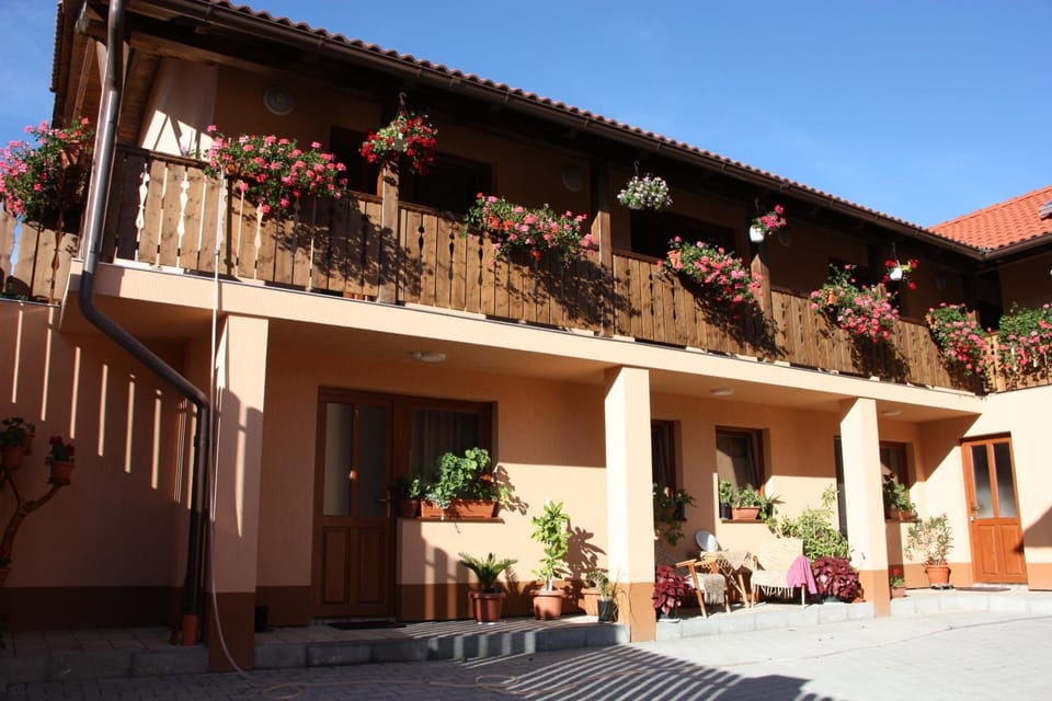 Nyikó Vendégház Bed and Breakfast in Romania