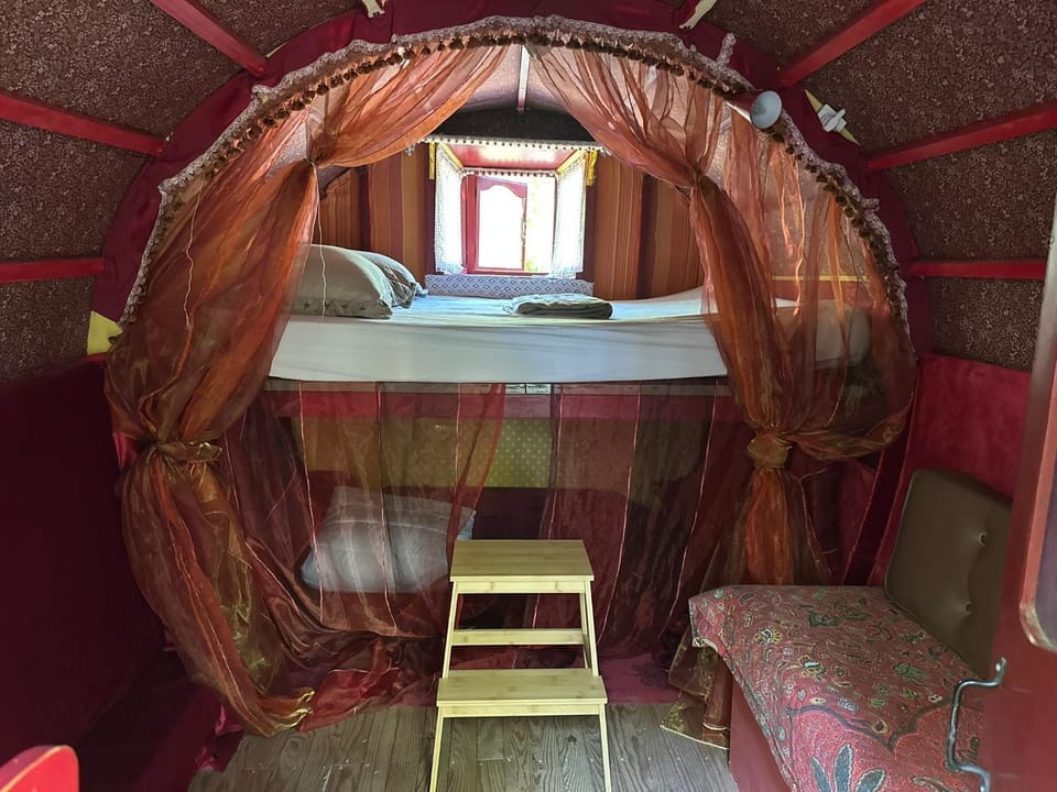 Les roulottes de Bayama - logement insolite avec jacuzzi Nature lodge in Mougins