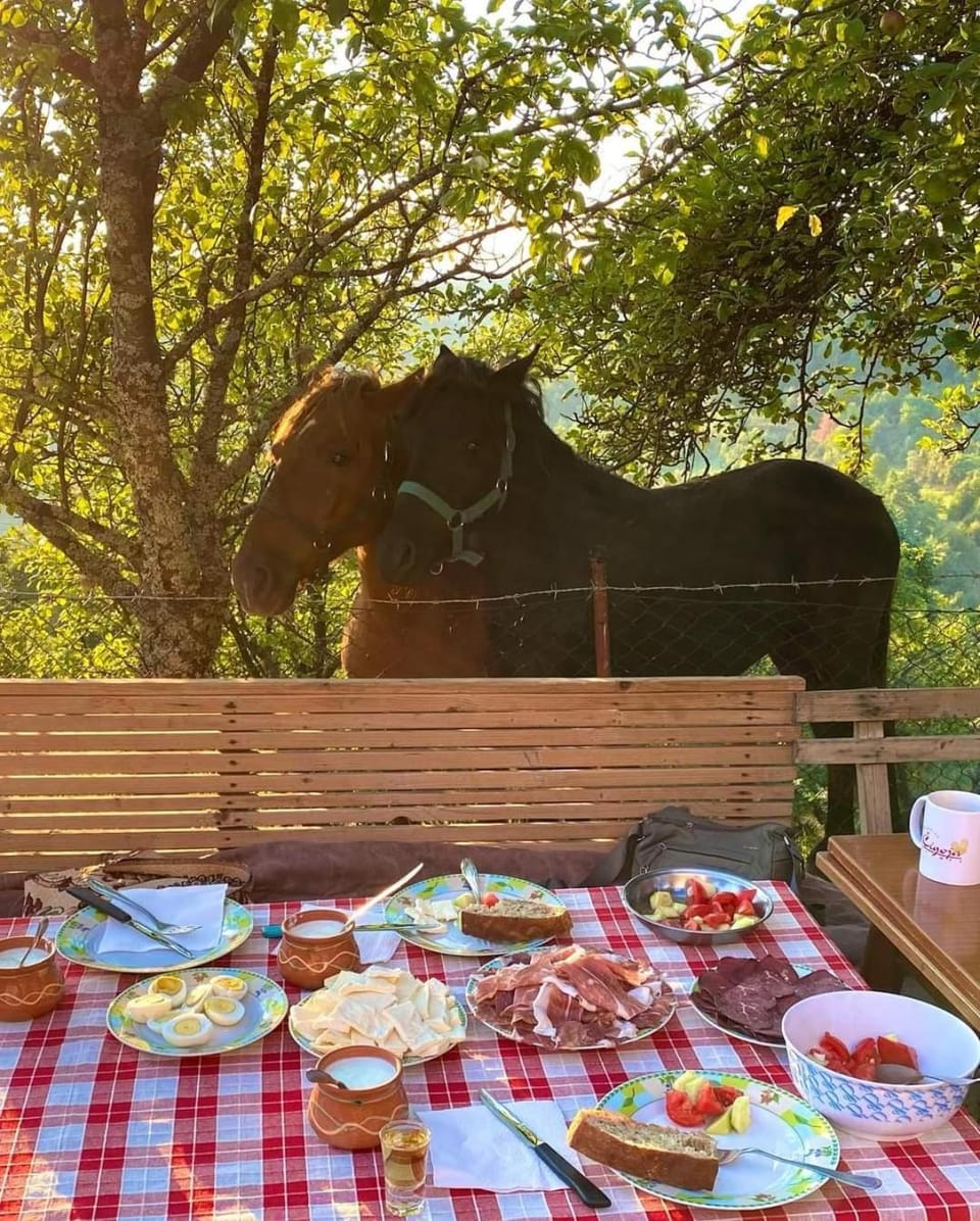 Breakfast, Breakfast