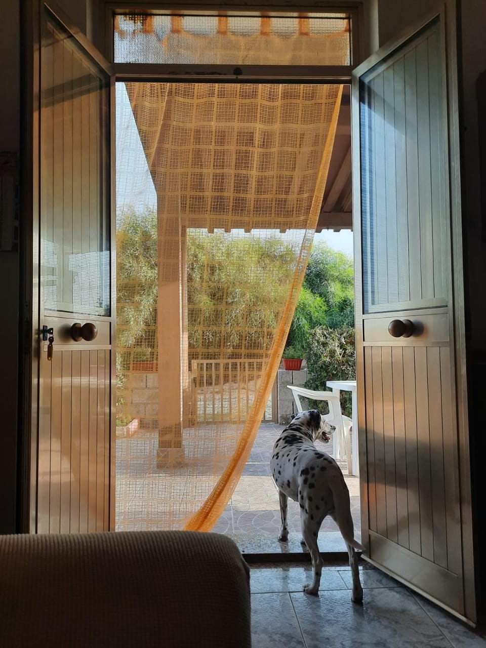 Balcony/Terrace, Pets