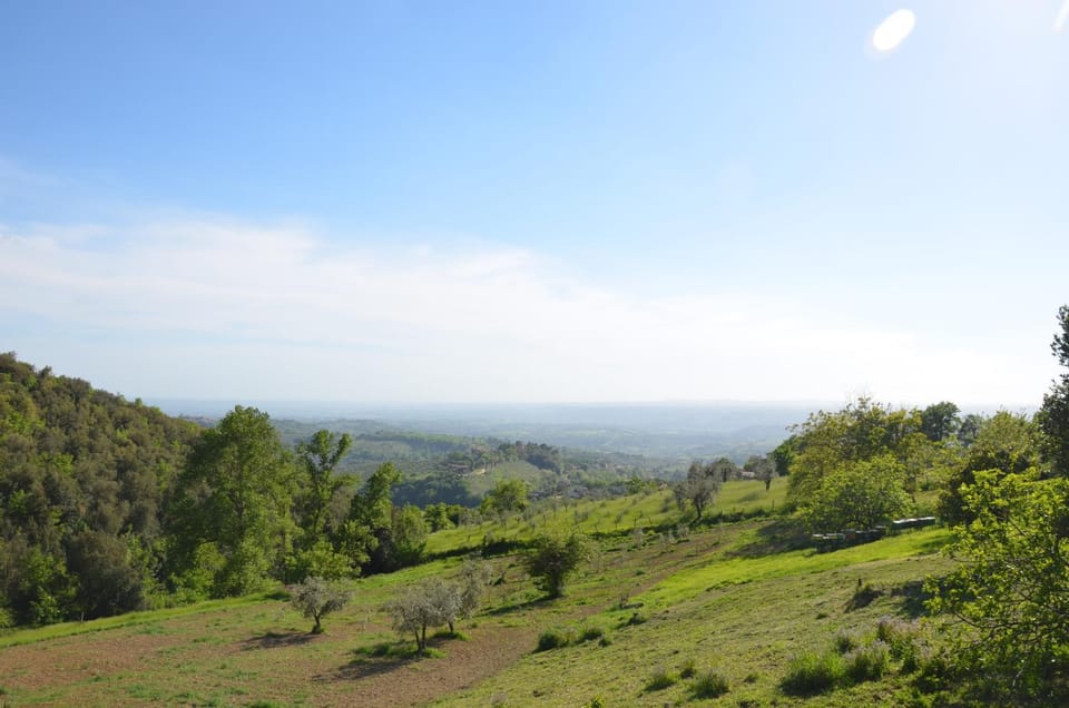 Natural landscape