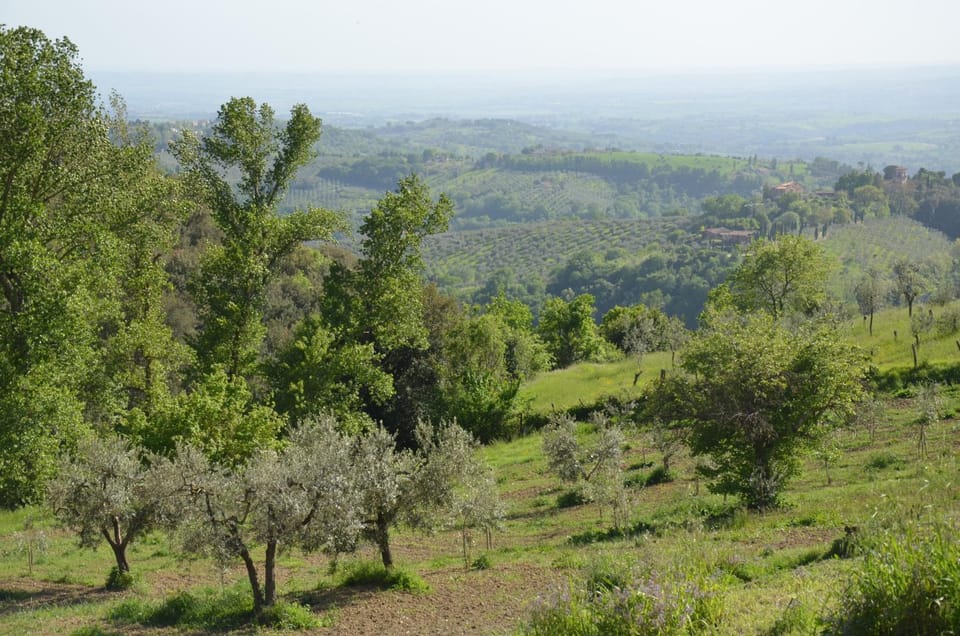 Natural landscape, Mountain view