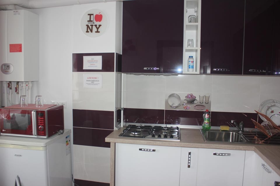 Kitchen or kitchenette, dishwasher, minibar, pet friendly