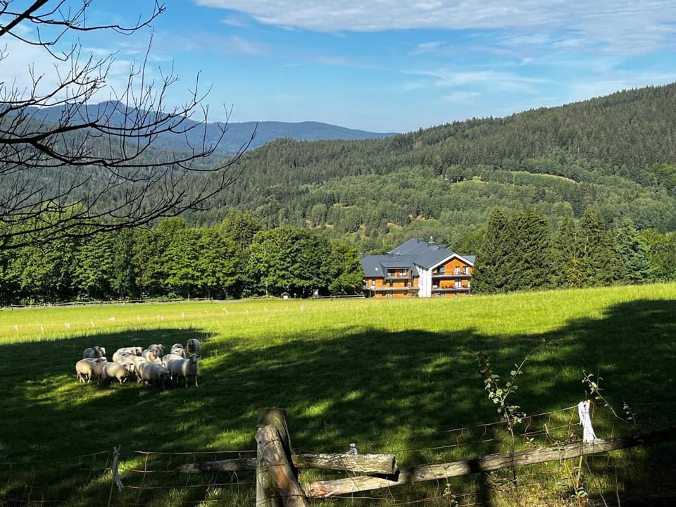 Apartmán Anna Viktoria v Brčálníku Apartment in Czechia