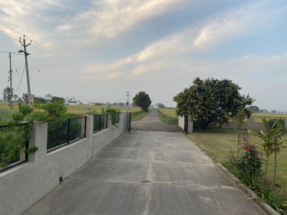 Neighbourhood