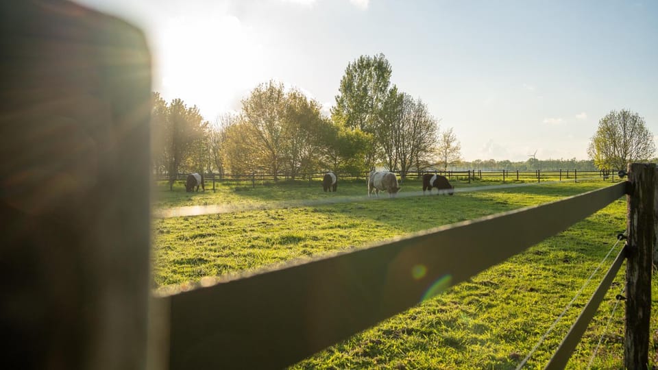 Gipsy Home Farm Stay in Overijssel (province)