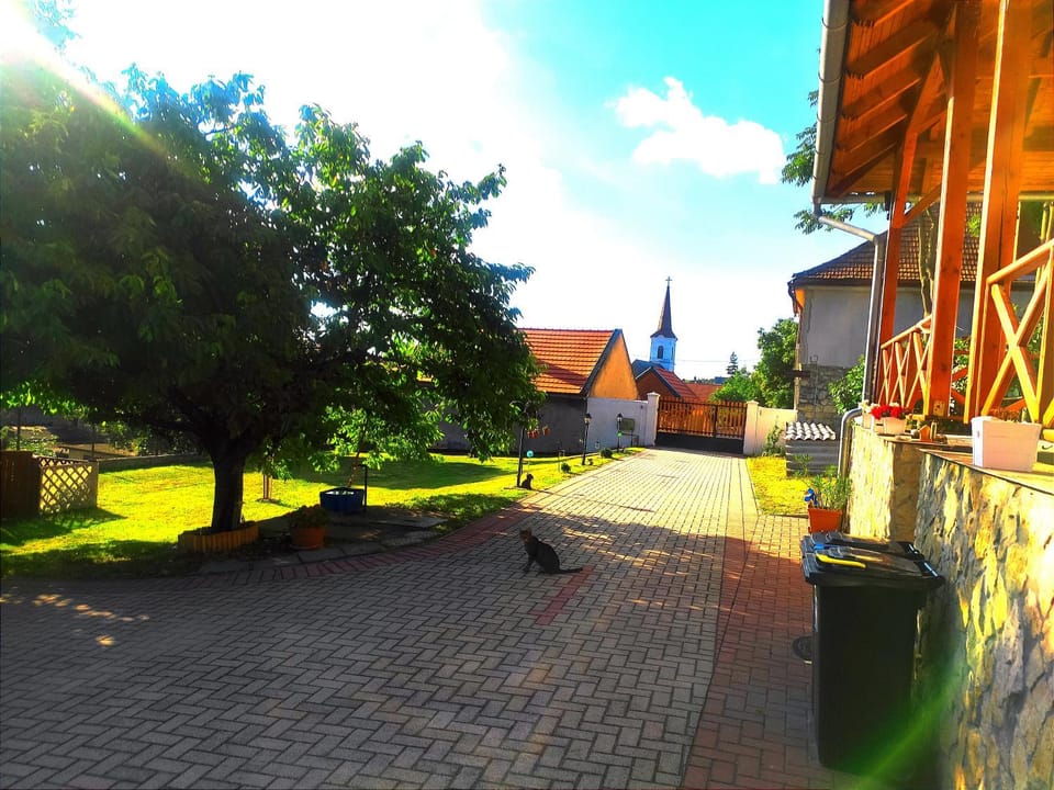 Garden view