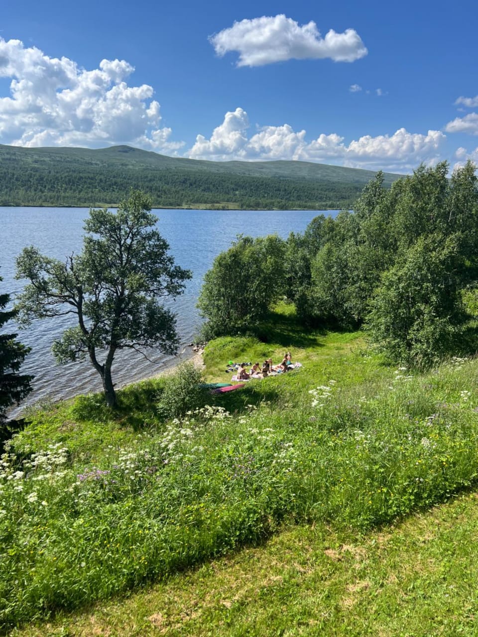 Strandgården Fjällnäs Bed and Breakfast in Trondelag
