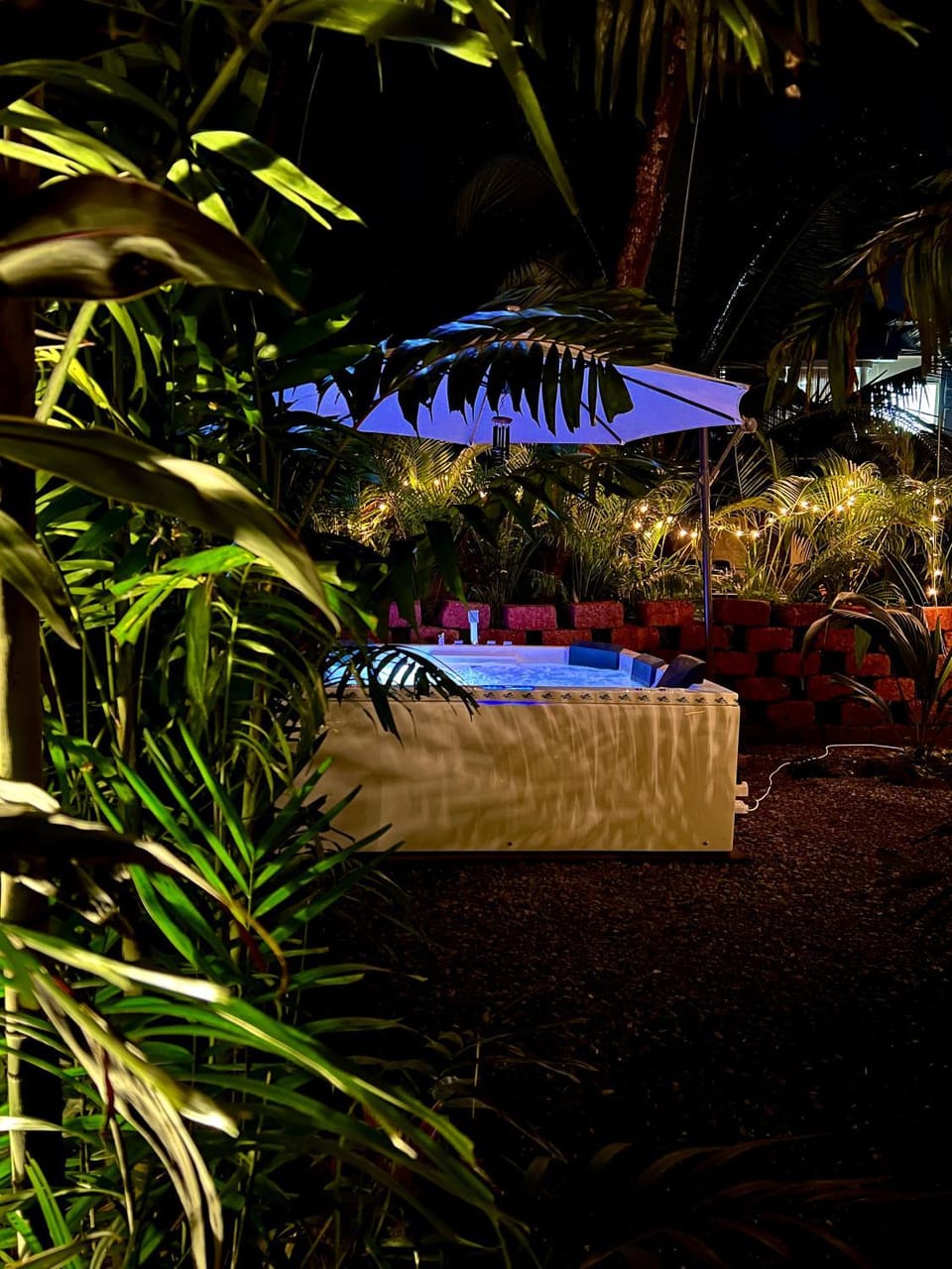 Garden, Pool view, Swimming pool