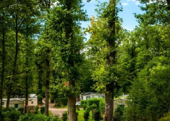 Parenthèse en forêt Bed and Breakfast in Île-de-France