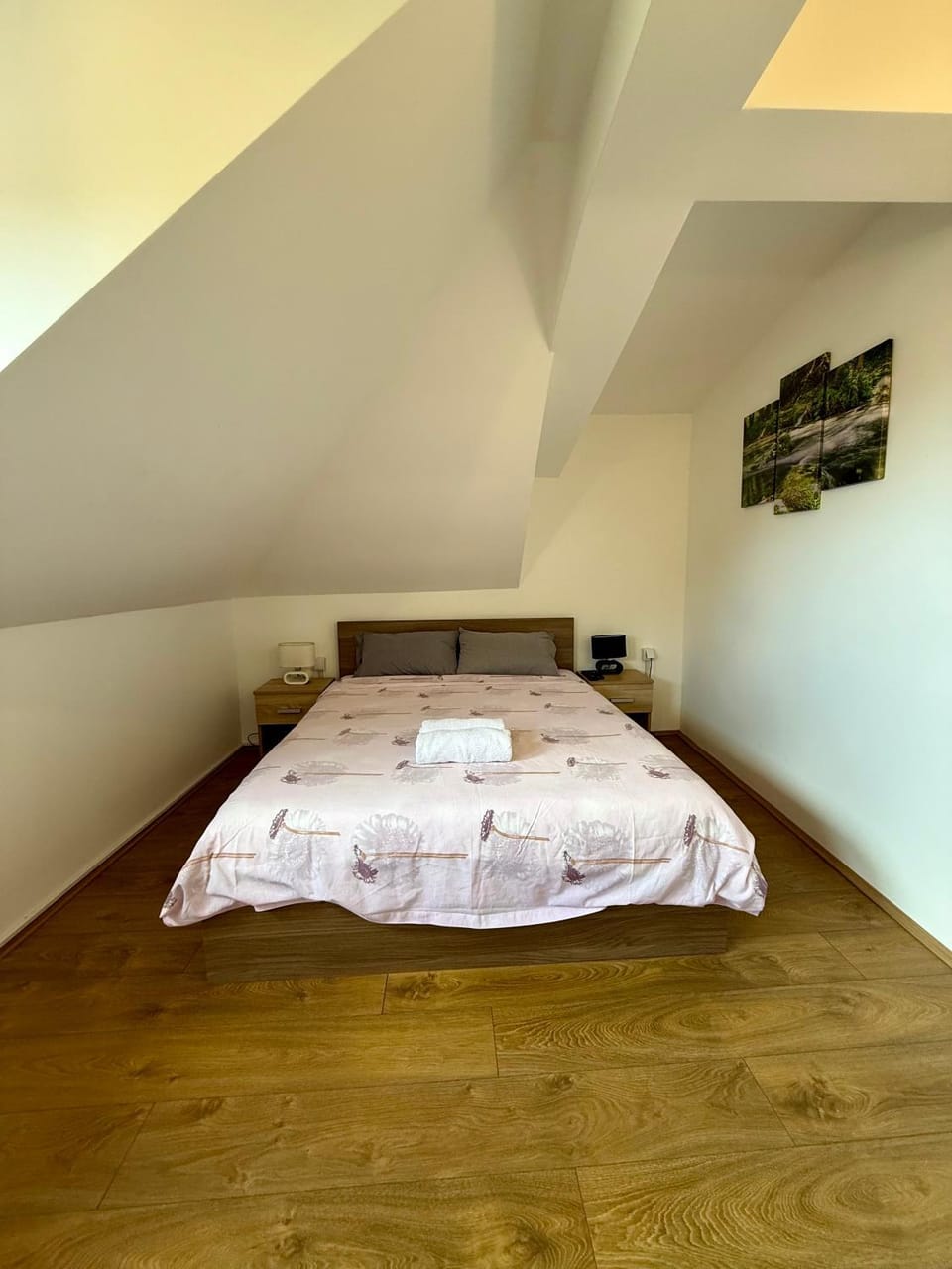 Villa Aurora Apartment in Serbia