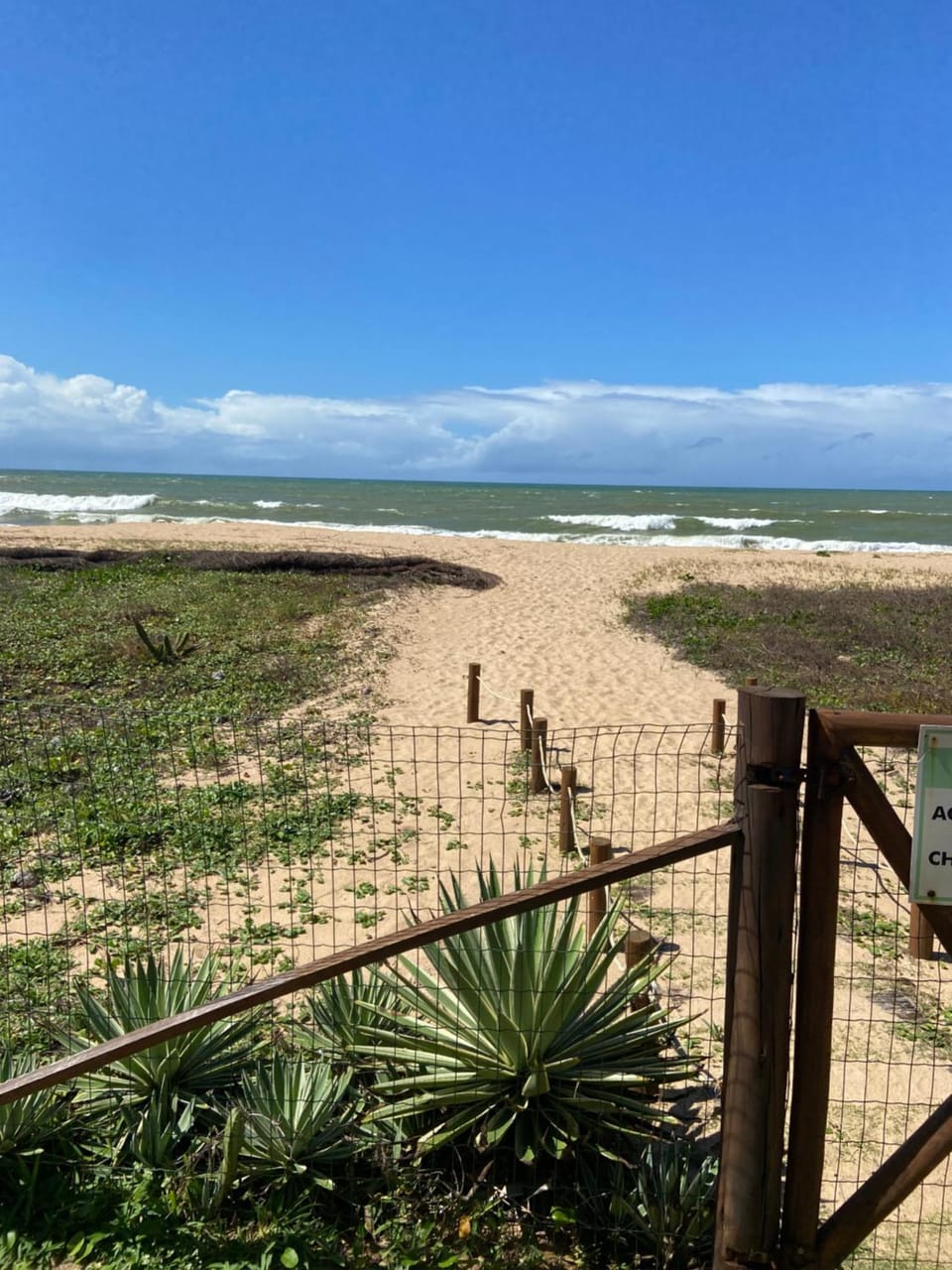 Sea view