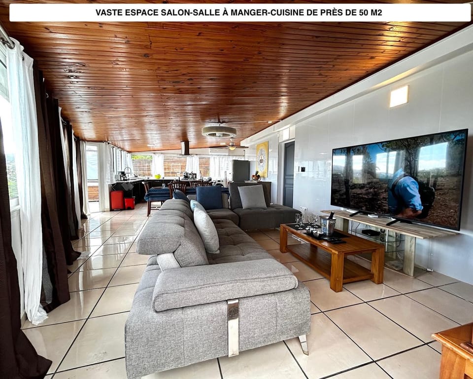 TV and multimedia, Living room