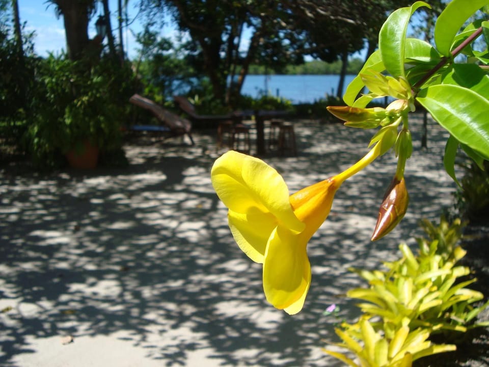 Casa Alegria, Piscina, 10 Hóspedes, 3 Suítes e Churrasqueira House in Itacaré