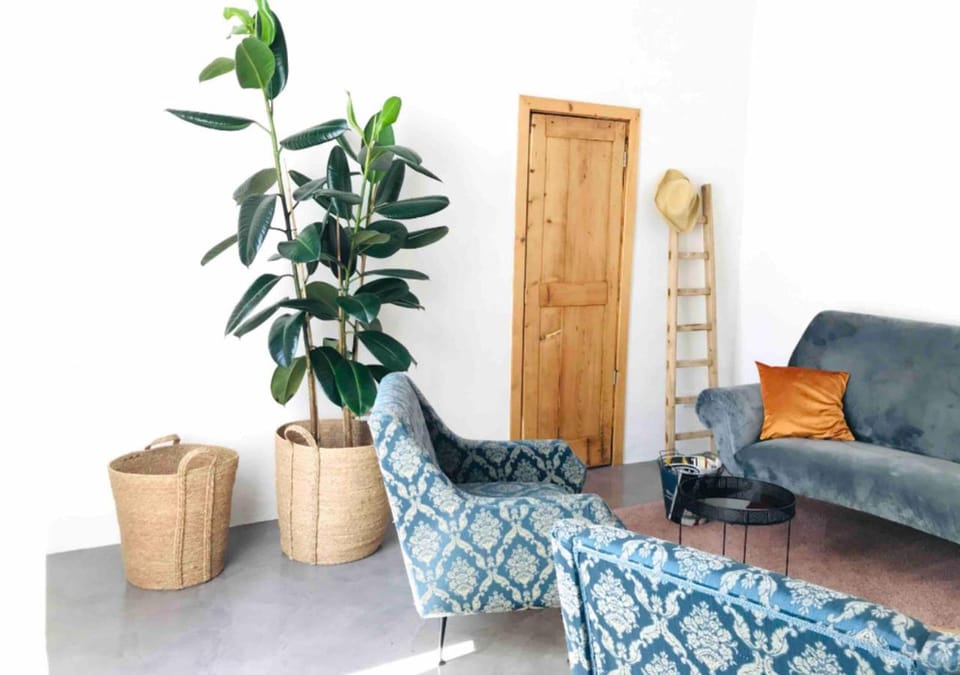 Lounge or bar
