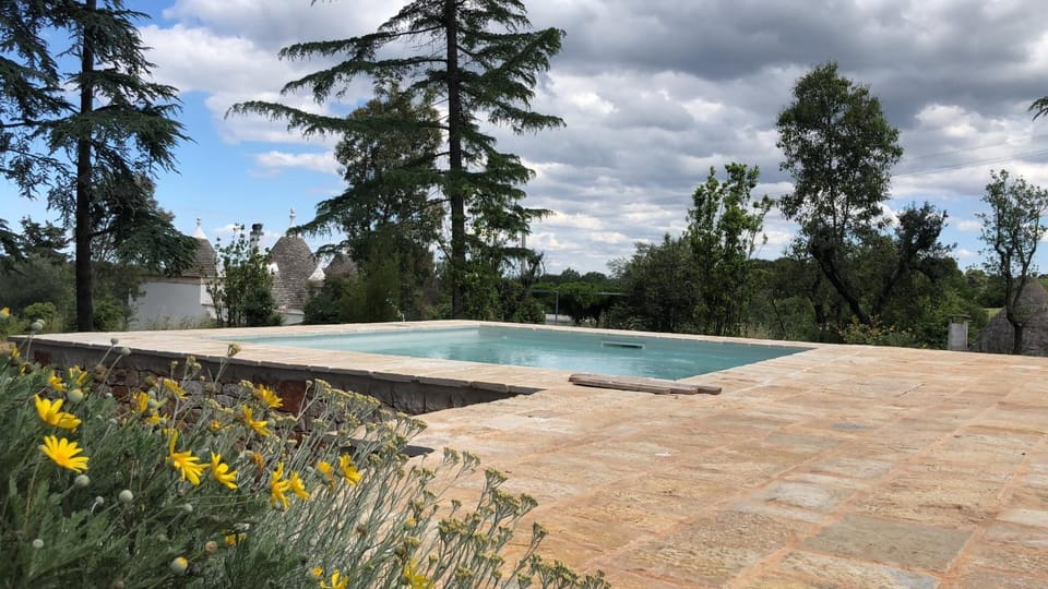 Swimming pool, Swimming pool