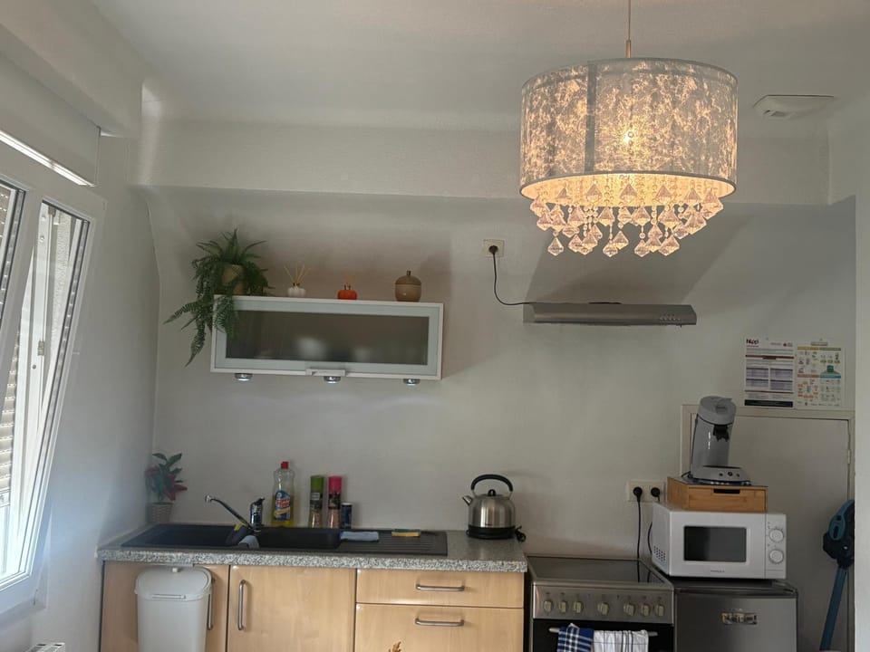 Au Paradis d Alsace Nature & relax Apartment in Grand Est